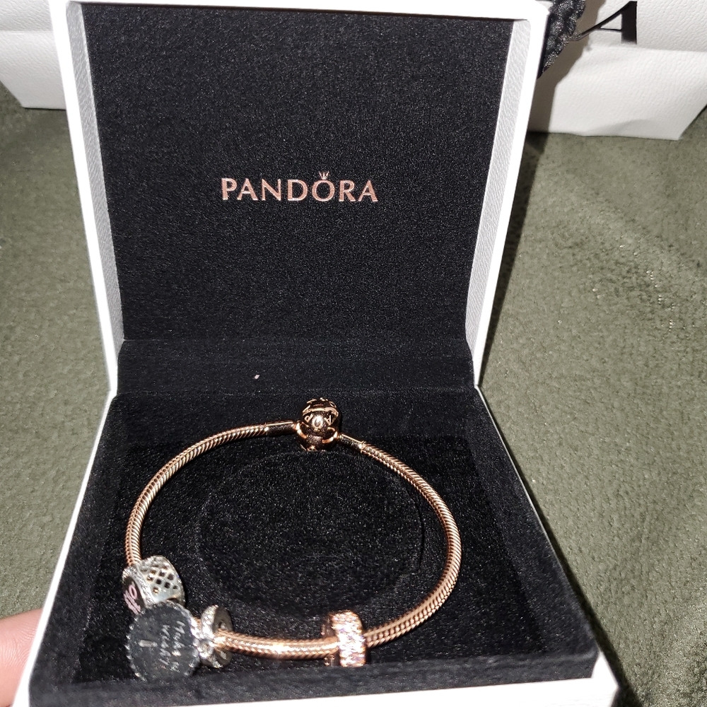 Pandora - Picture 2 of 9